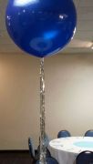 Colossal with Silver Foil Tail