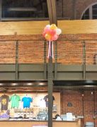 Basecamp