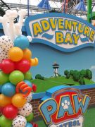 Paw Patrol Column